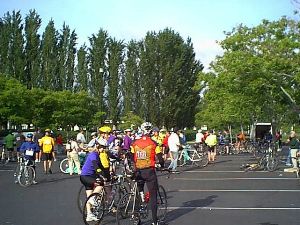 lots of riders